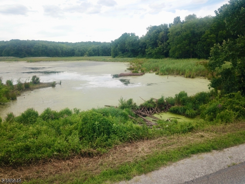 0 Unionville Road Sussex, NJ 07461 - Photo 7 of 8 a view of a lake from a yard