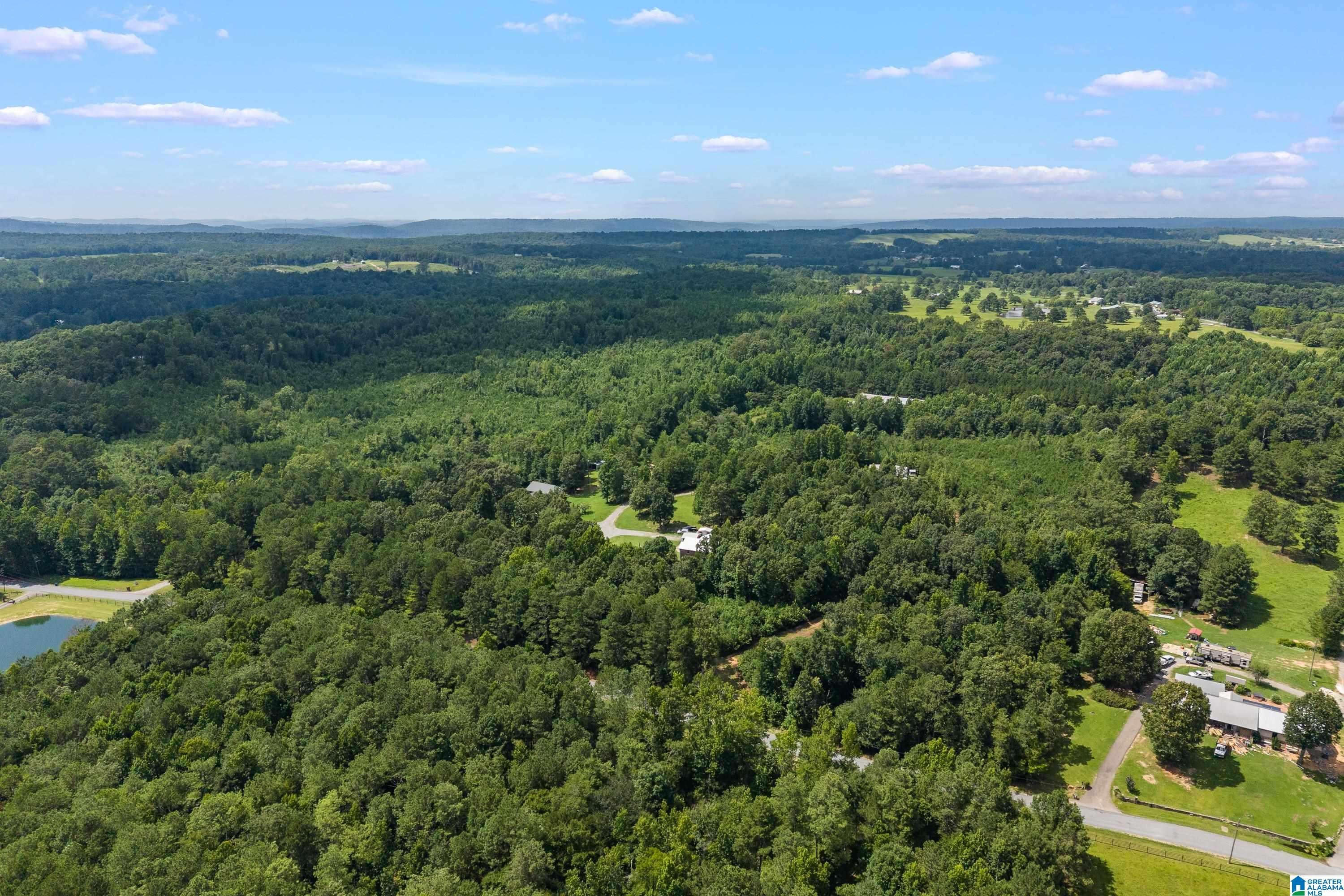 1283 Rogers Road Oneonta, AL 35121 - Photo 47 of 58
