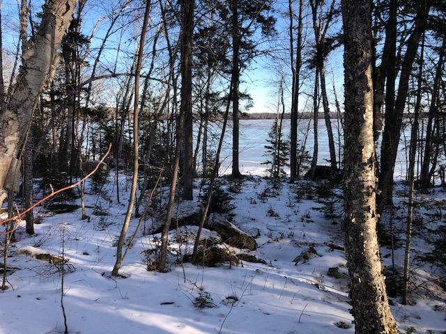 0 South Shore Road Linneus, ME 04730 - Photo 9 of 17 IMG_3630