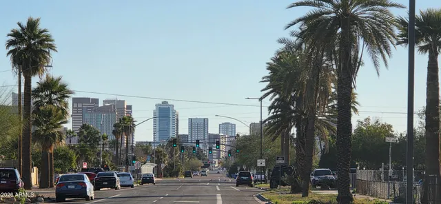 a view of a city with palm trees