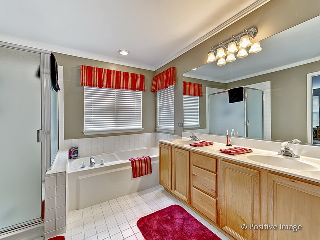 1463 Saddleridge Place Bartlett, IL 60103 - Photo 19 of 27 a bathroom with a tub sink and mirror