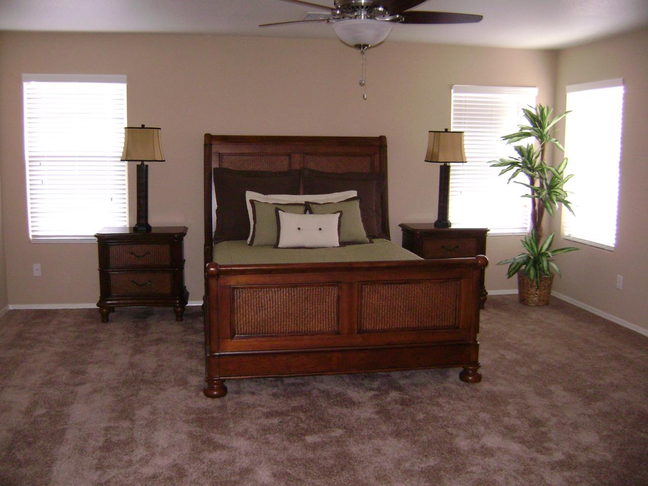 2914 West Tanner Ranch Road Queen Creek, AZ 85144 - Photo 12 of 18 Master Bedroom