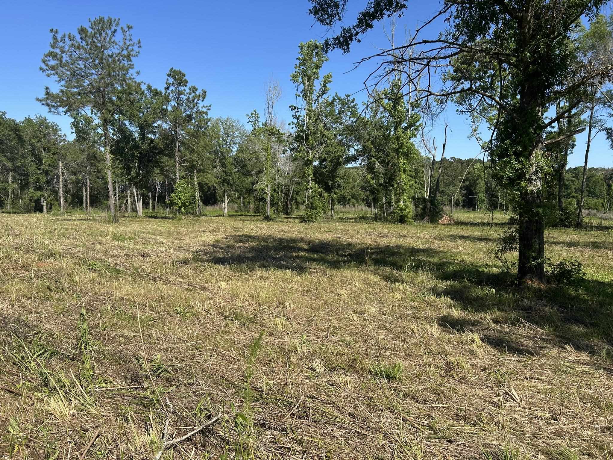 Xxx Ben Bostick Road Quincy, FL 32351 - Photo 14 of 20