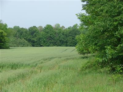 13300 South Tripp Road Waldron, MI 49288 - Photo 4 of 6 Additional Photo