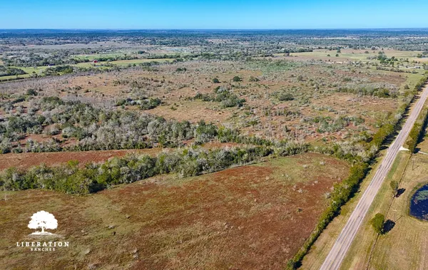 a view of beach and ocean