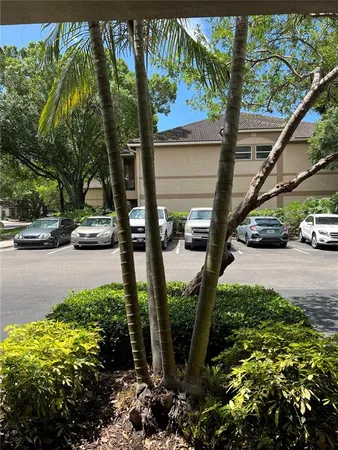 $3,100 | 805 Normandy Trace Road, Tampa, FL 33602