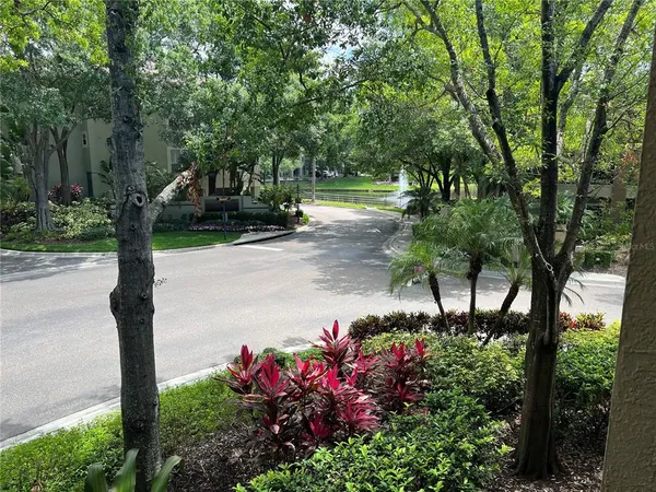$3,100 | 805 Normandy Trace Road, Tampa, FL 33602