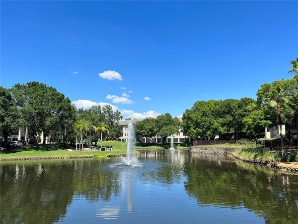 $3,100 | 805 Normandy Trace Road, Tampa, FL 33602
