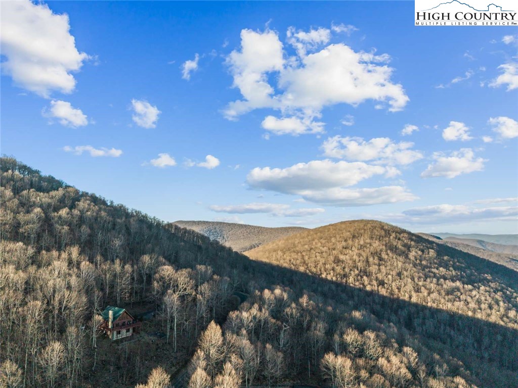 785 Little Tree Road West Jefferson, NC 28694 - Photo 25 of 25