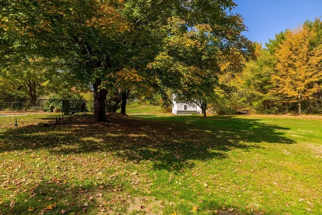 a view of yard with trees