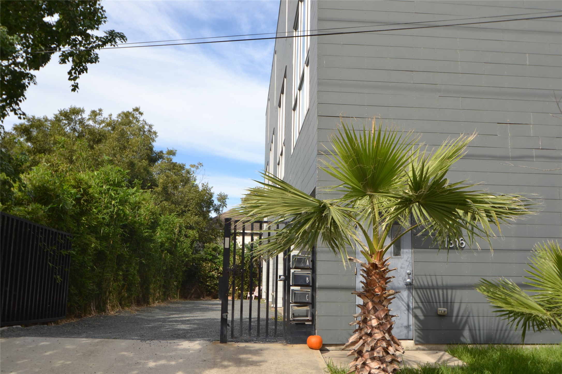 1316 Cleveland Street, Unit C Houston, TX 77019 - Photo 37 of 38 a view of a palm plant in front of a house