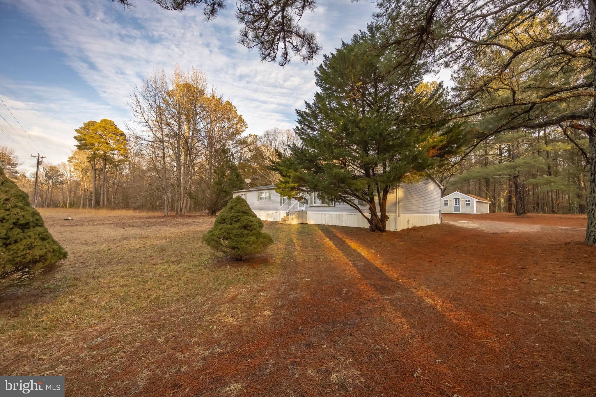 22147 Royal Oak Road Quantico, MD 21856 - Photo 6 of 65 a view of outdoor space with trees