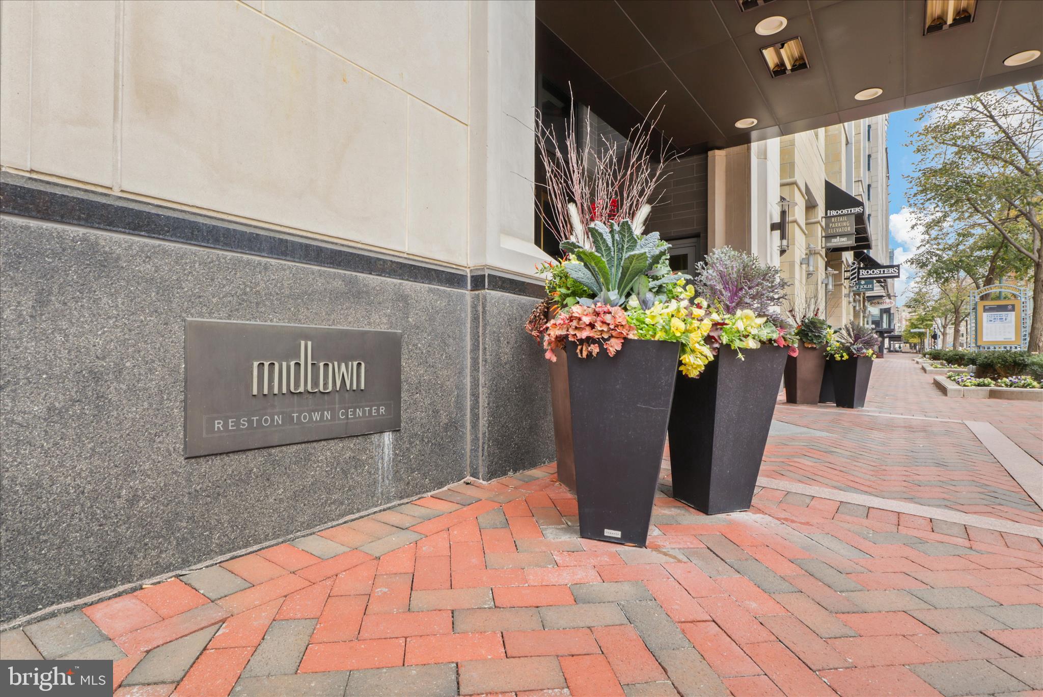 11990 Market Street, Unit 216 Reston, VA 20190 - Photo 4 of 41 a view of a potted flower in front of a door