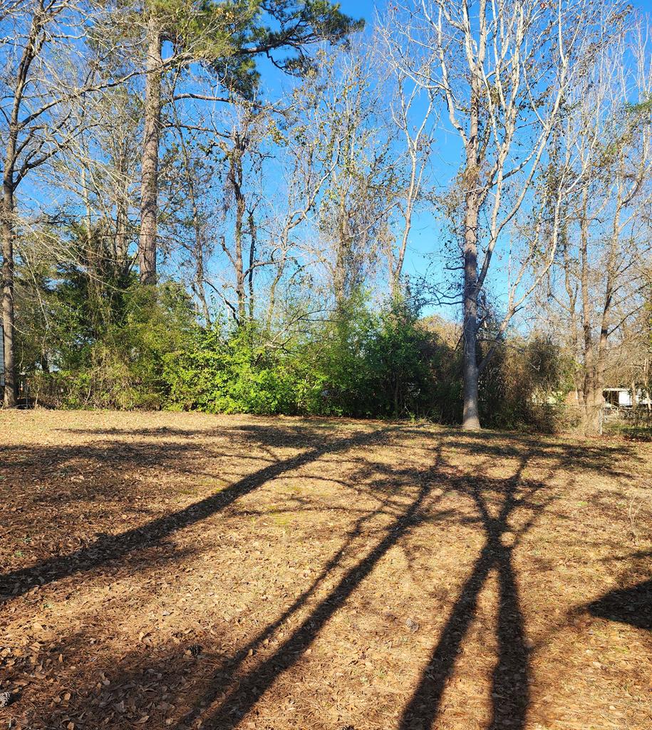 6101 Mill Branch Road Columbus, GA 31907 - Photo 11 of 11