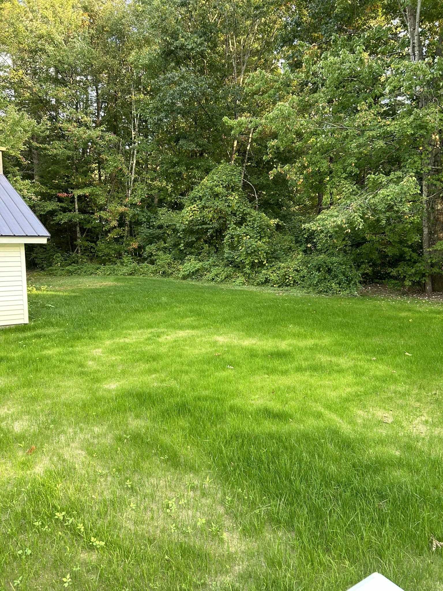 286 Ceda Road Charlestown, NH 03603 - Photo 8 of 25