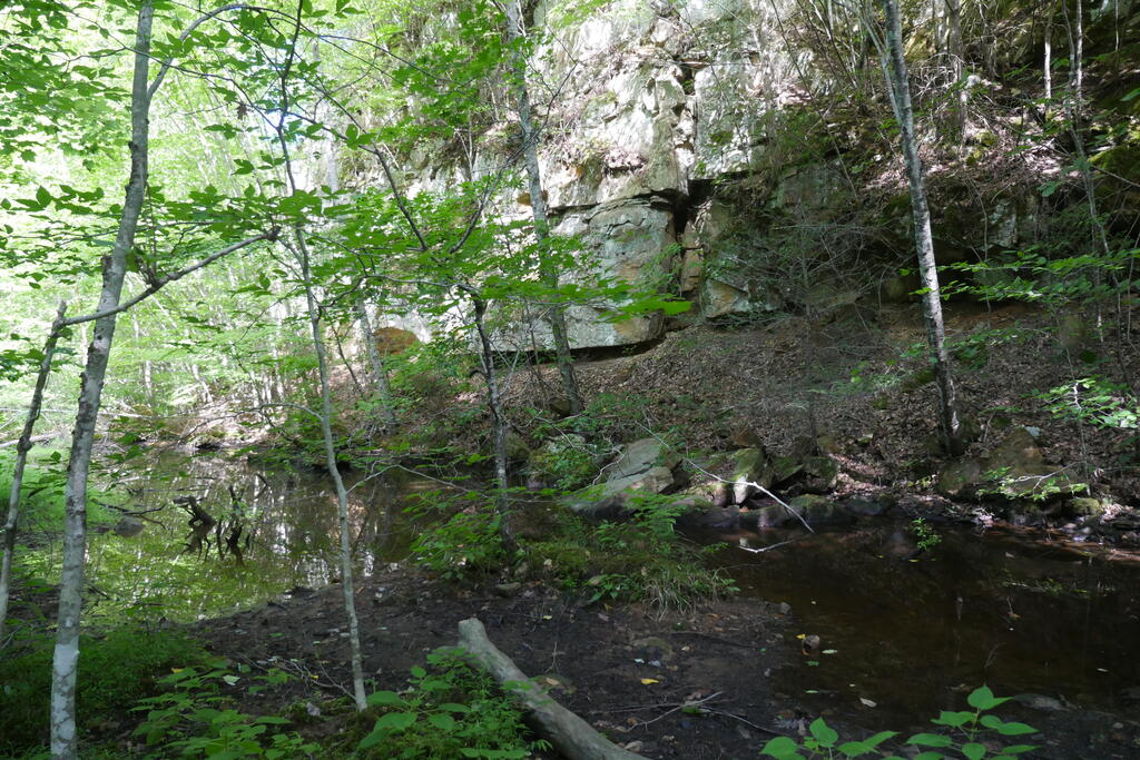 4163 Lick Creek Road Birchleaf, VA 24220 - Photo 40 of 86 Gallery Image 40