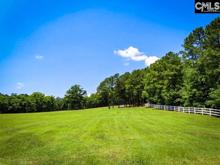 3296 Flat Rock Road Kershaw, SC 29067 - Photo 30 of 94
