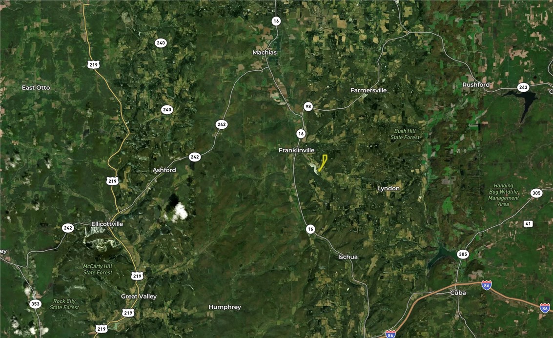 Vl Vl Lyndon Abbott Road Franklinville, NY 14737 - Photo 50 of 50
