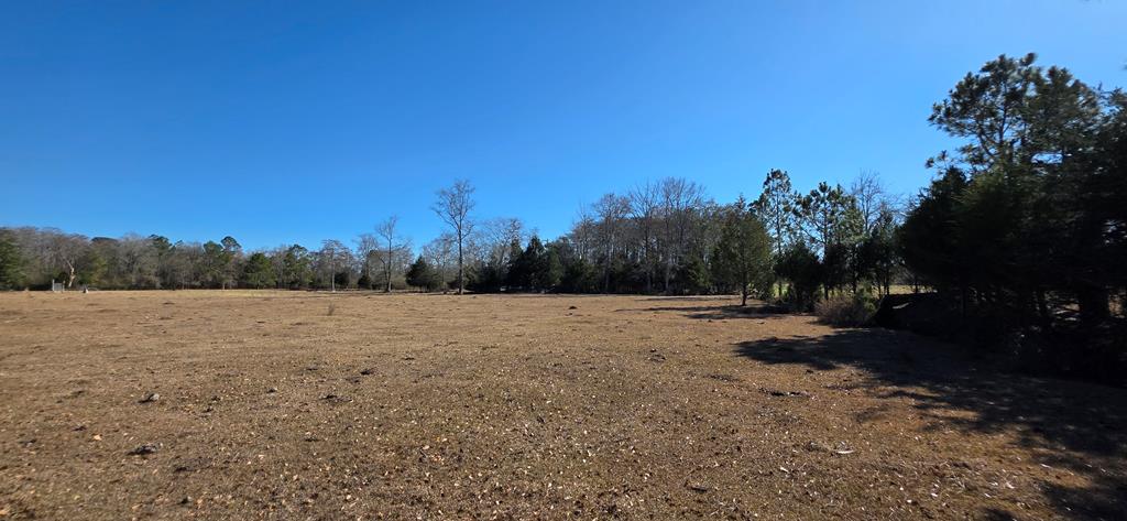 12.7-acres Nobles Road Dothan, AL 36301 - Photo 38 of 41
