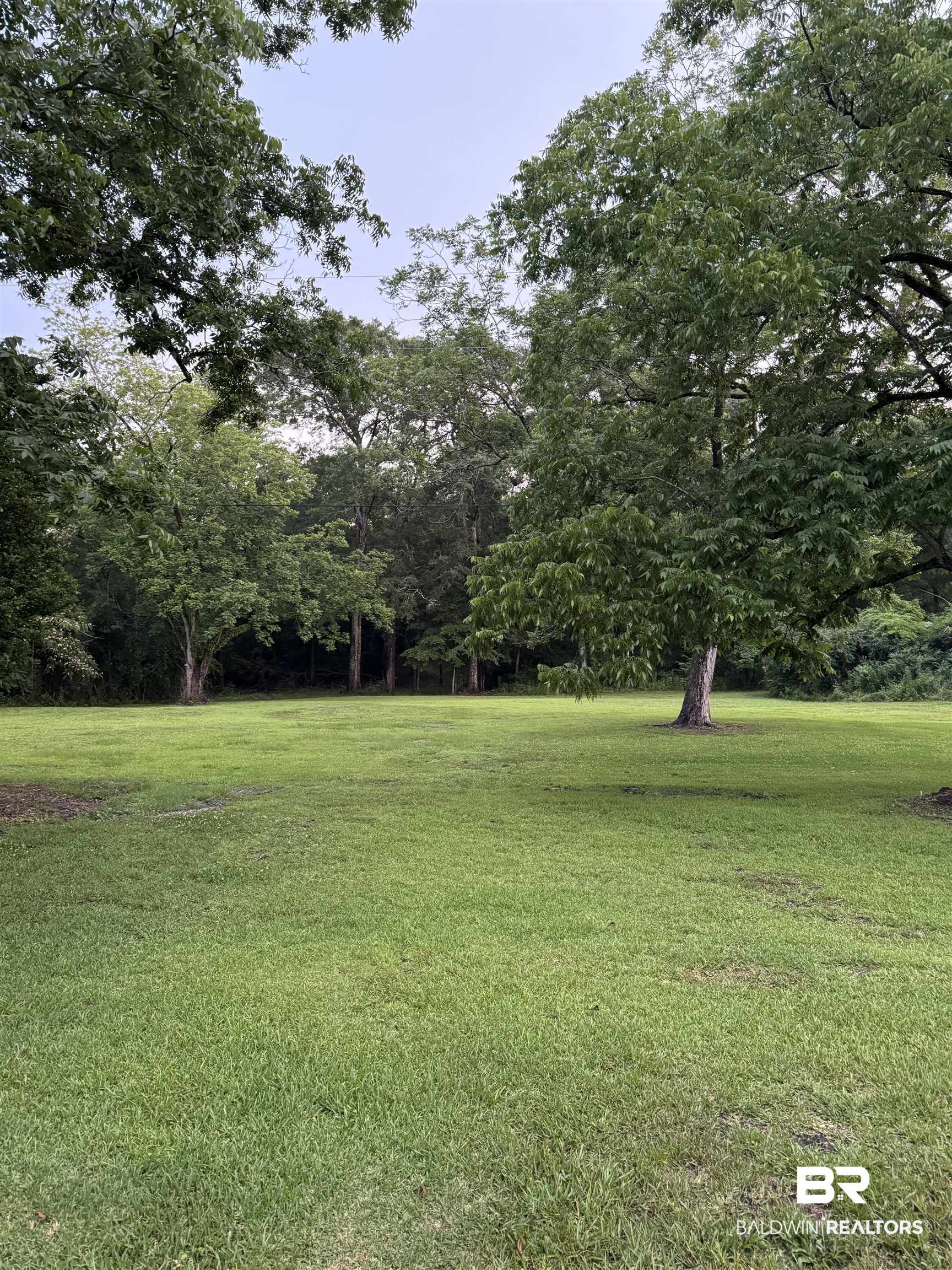 334 Martin Street Repton, AL 36475 - Photo 47 of 51 View of yard