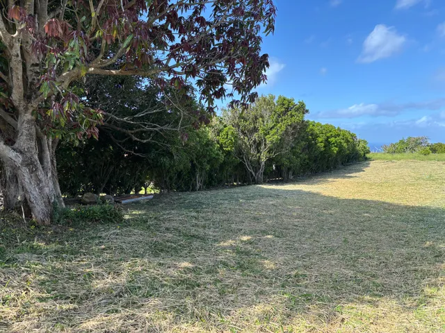 a view of outdoor space and yard