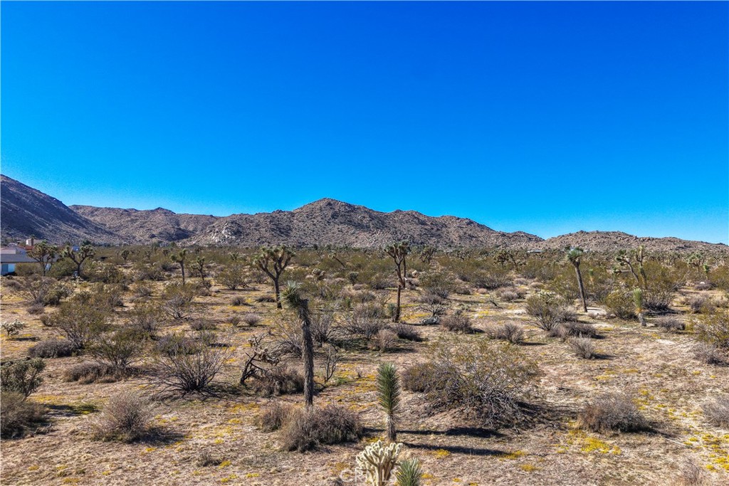 7442 Olympic Road Joshua Tree, CA 92252 - Photo 11 of 15 a view of a mountain