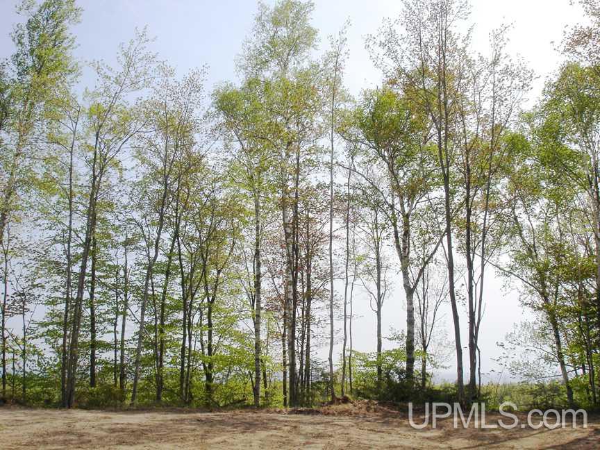Tbd Northshore Bluffs Road, Unit 3 Manistique, MI 49854 - Photo 3 of 22