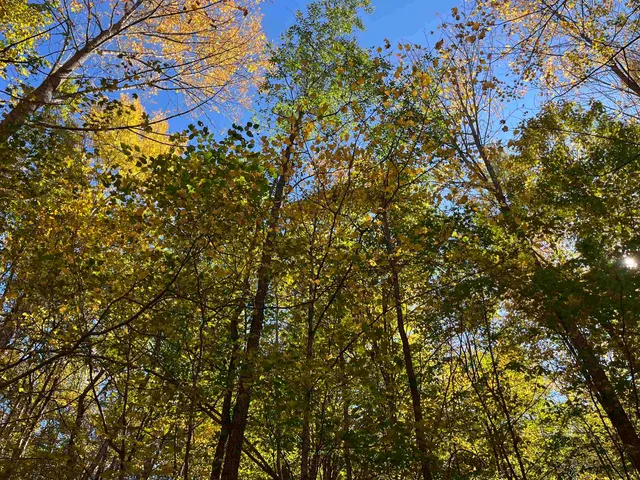 $140,000 | 0 Leonard Road, South Royalton, VT 05068