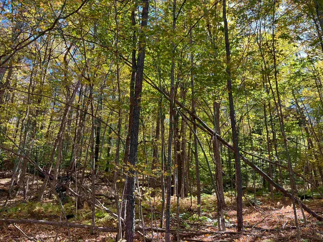 $140,000 | 0 Leonard Road, South Royalton, VT 05068