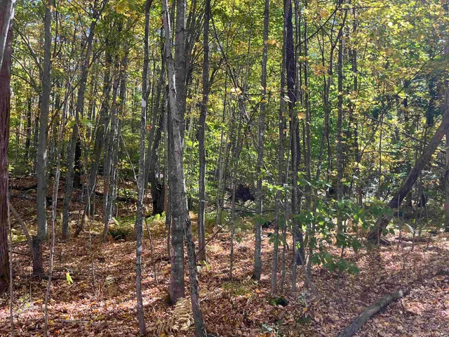 $140,000 | 0 Leonard Road, South Royalton, VT 05068