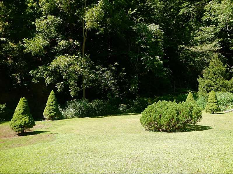 308 Fox Chapel Road Pittsburgh, PA 15238 - Photo 22 of 22 Yard/Garden. Plenty of room to roam.