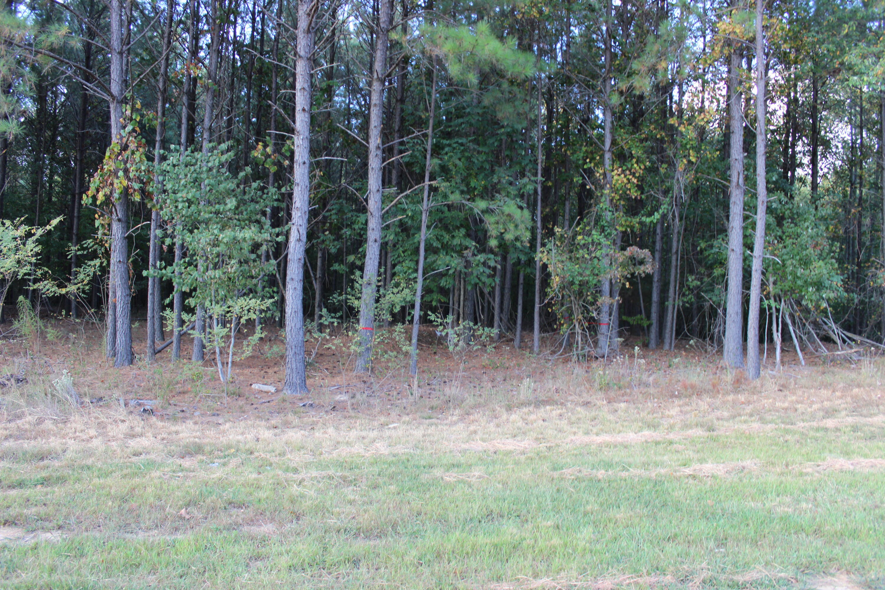 0 Waterwheel Way, Unit 340 Jasper, TN 37347 - Photo 11 of 48 Lot 340