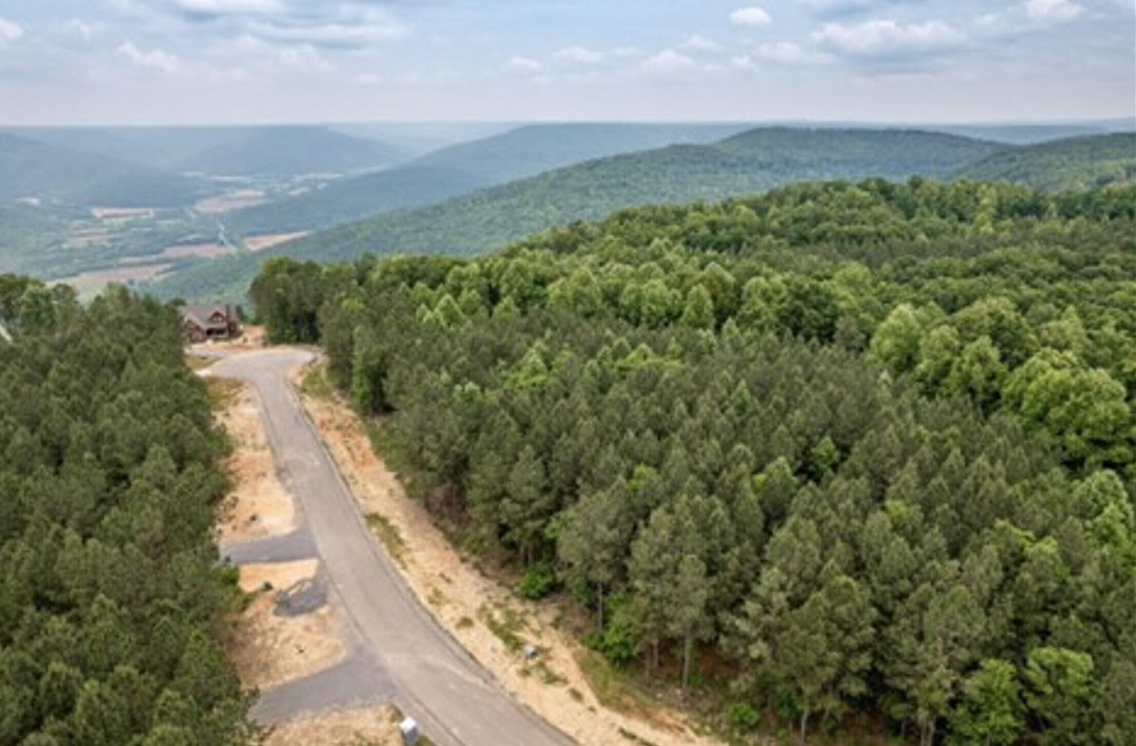 0 Waterwheel Way, Unit 340 Jasper, TN 37347 - Photo 4 of 48 aerial view 2