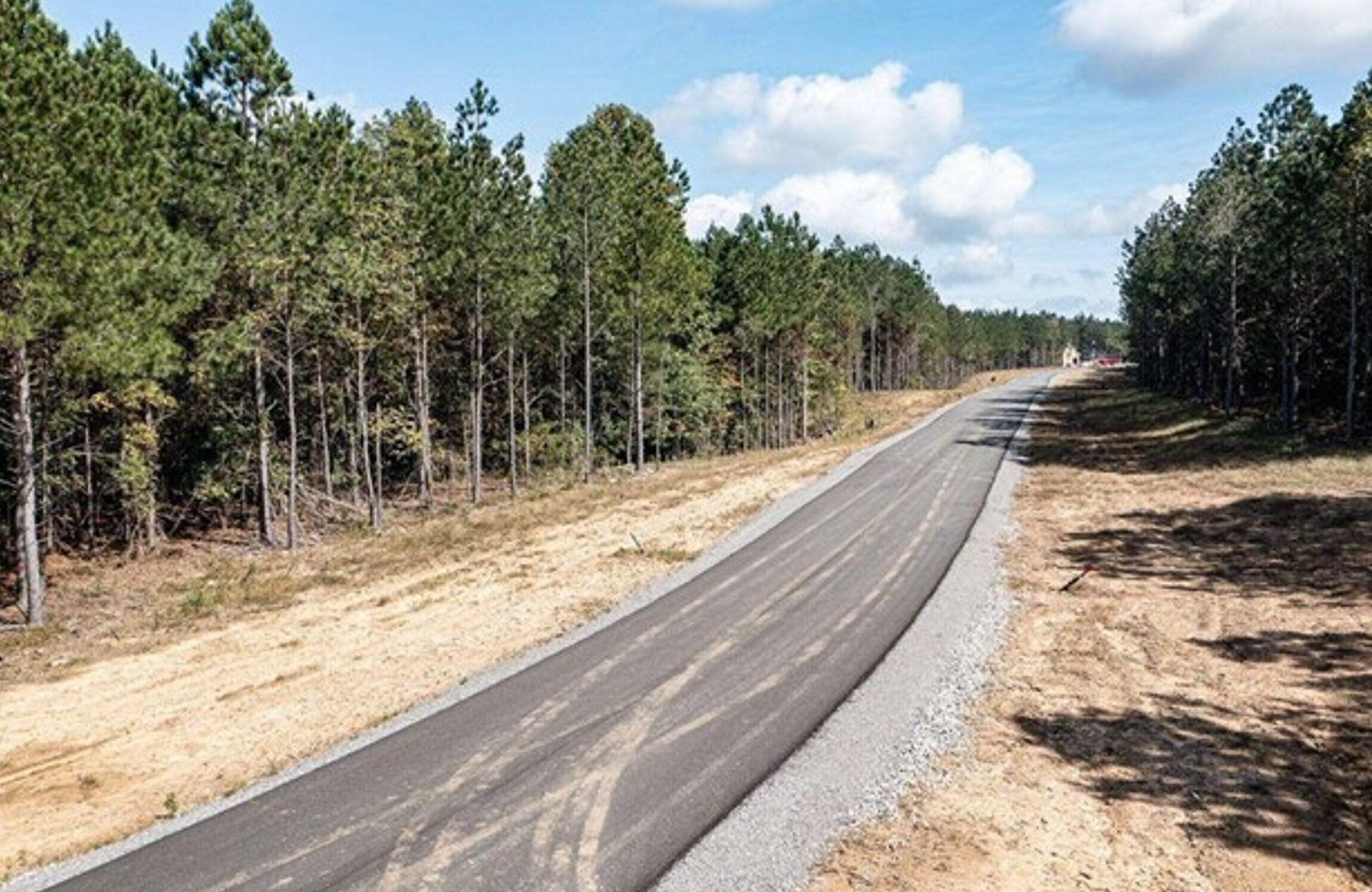 0 Waterwheel Way, Unit 340 Jasper, TN 37347 - Photo 5 of 48 Picture5