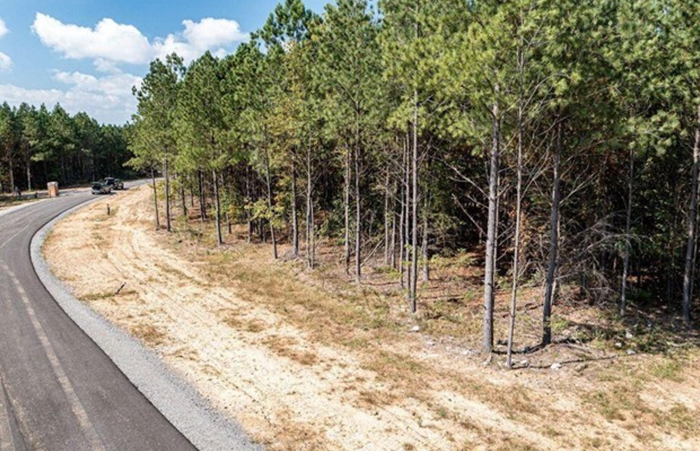 0 Waterwheel Way, Unit 340 Jasper, TN 37347 - Photo 6 of 48 Waterwheel Way