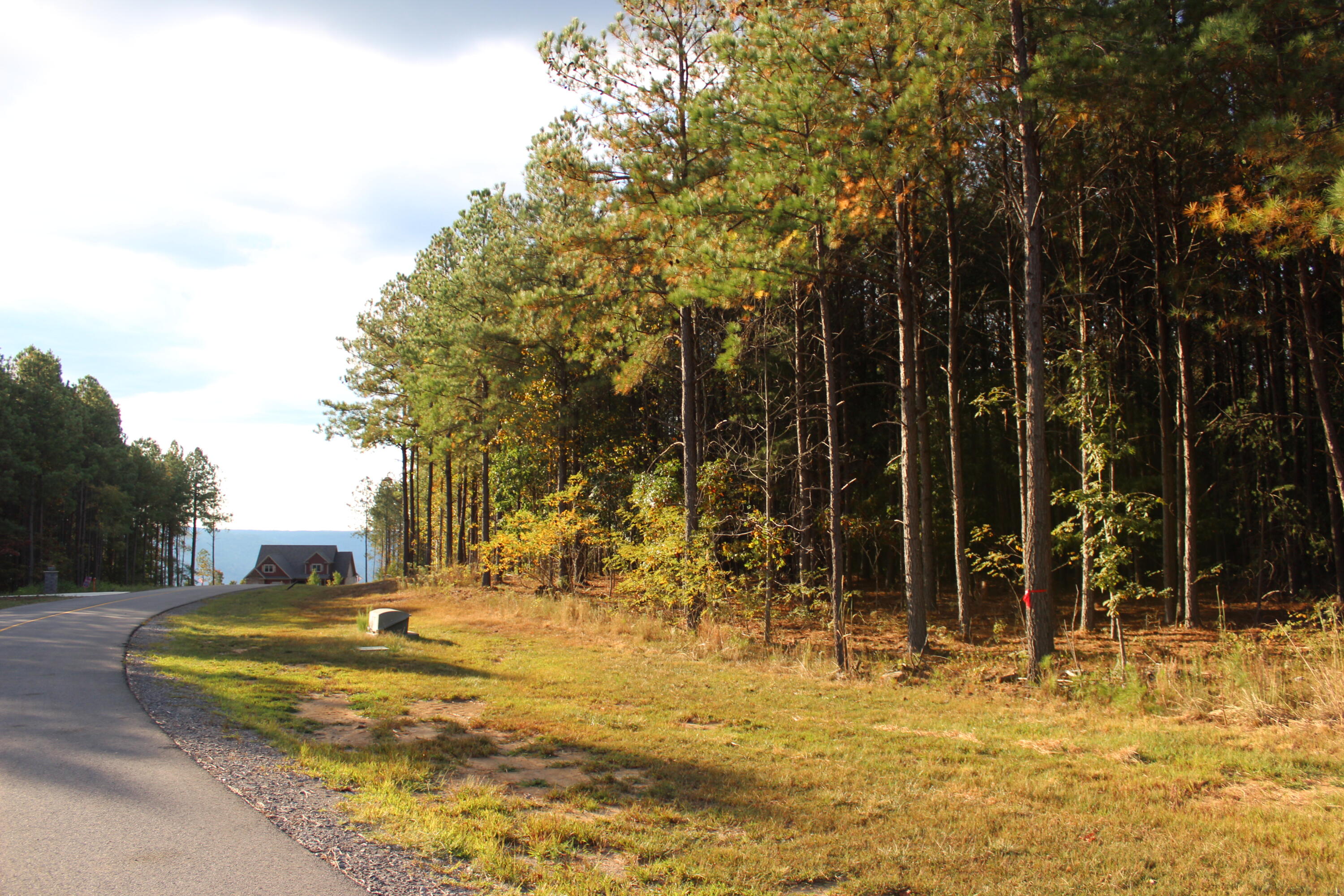 0 Waterwheel Way, Unit 340 Jasper, TN 37347 - Photo 7 of 48 Lot 340 on Right