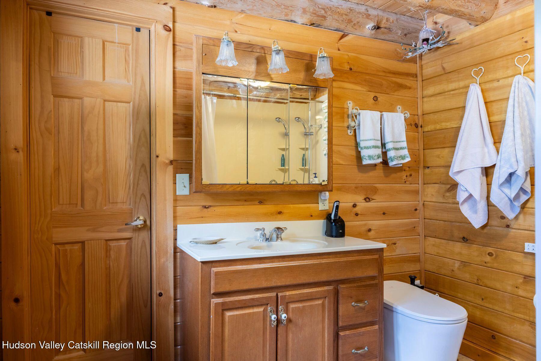 406 Cheese Hill Road Preston Hollow, NY 12469 - Photo 34 of 59 a bathroom with a sink a toilet and shower
