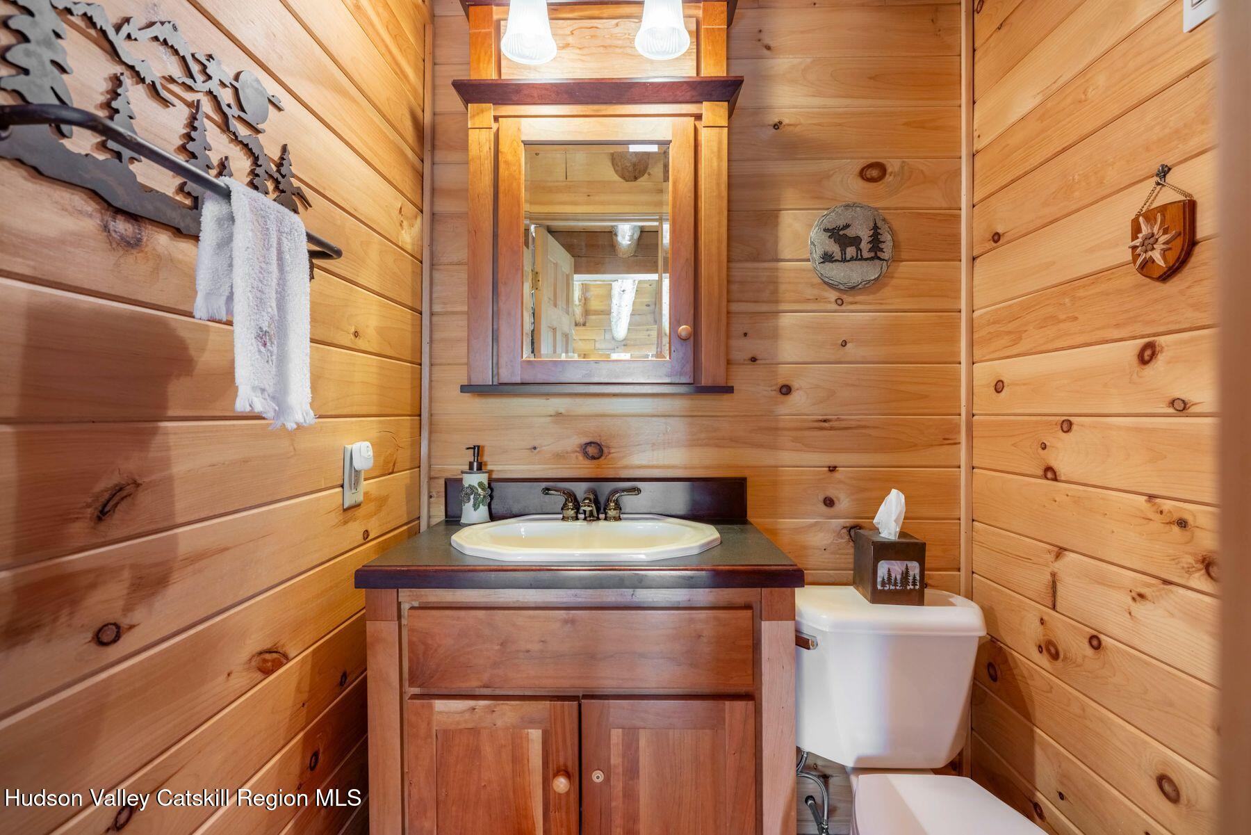 406 Cheese Hill Road Preston Hollow, NY 12469 - Photo 39 of 59 photo_online_045