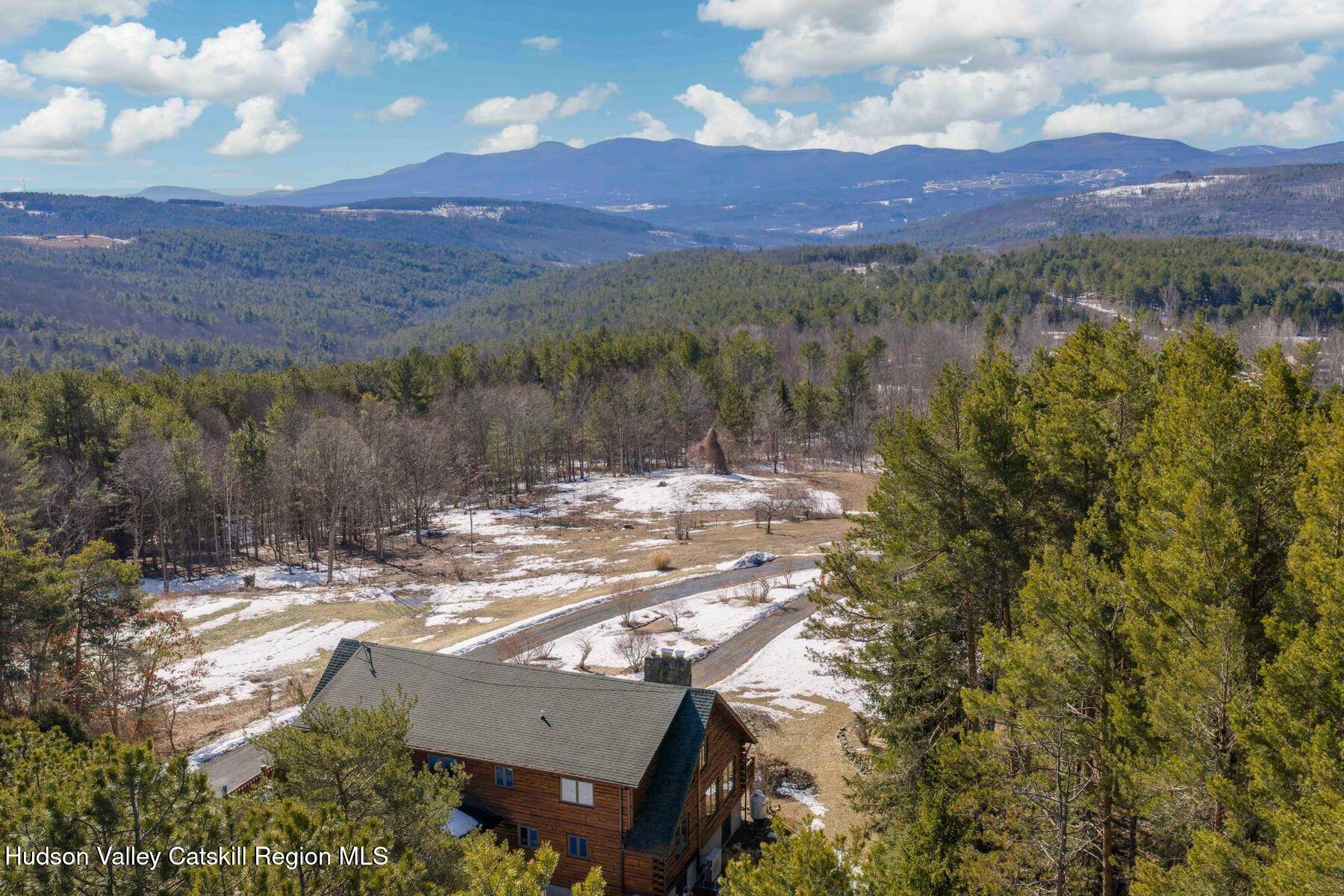 406 Cheese Hill Road Preston Hollow, NY 12469 - Photo 4 of 59 photo_online_009