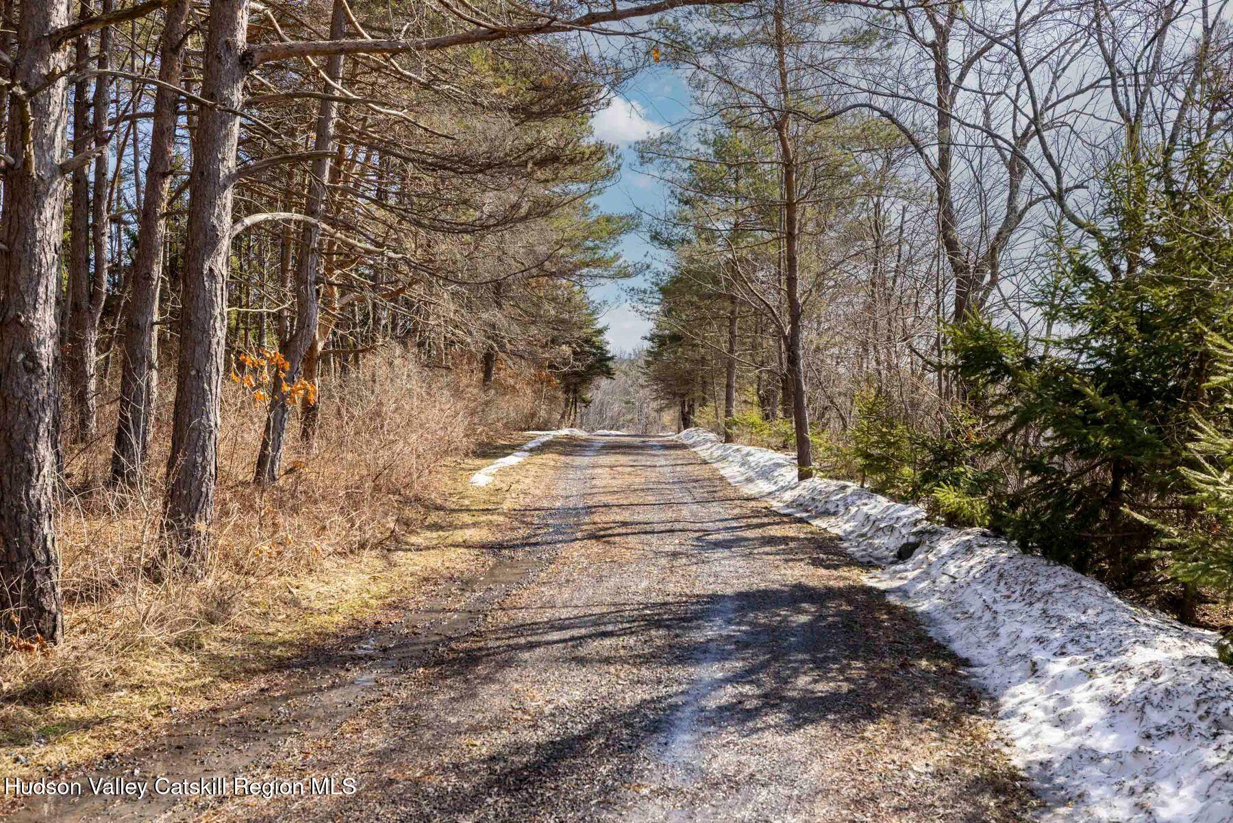 406 Cheese Hill Road Preston Hollow, NY 12469 - Photo 58 of 59 photo_online_015