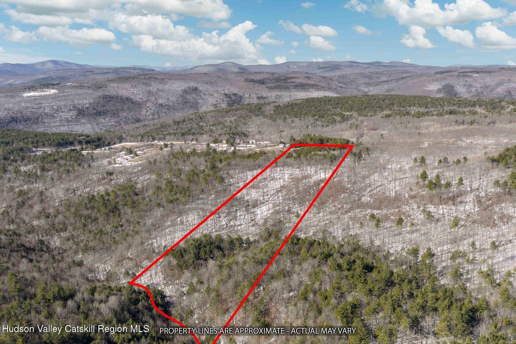 406 Cheese Hill Road Preston Hollow, NY 12469 - Photo 59 of 59 photo_online_010