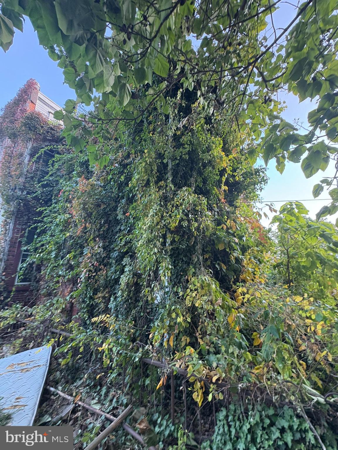 350 North 61st Street Philadelphia, PA 19139 - Photo 3 of 21 a view of a house with a tree