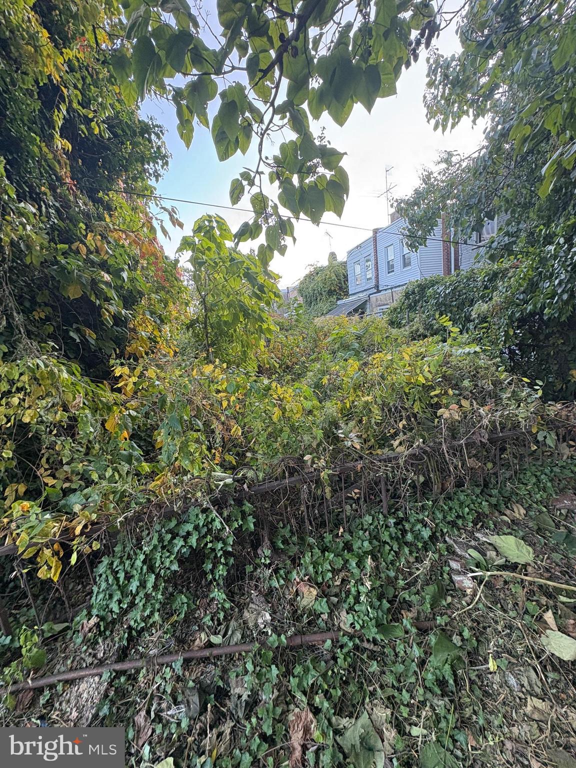 350 North 61st Street Philadelphia, PA 19139 - Photo 4 of 21 a view of a tree in a garden