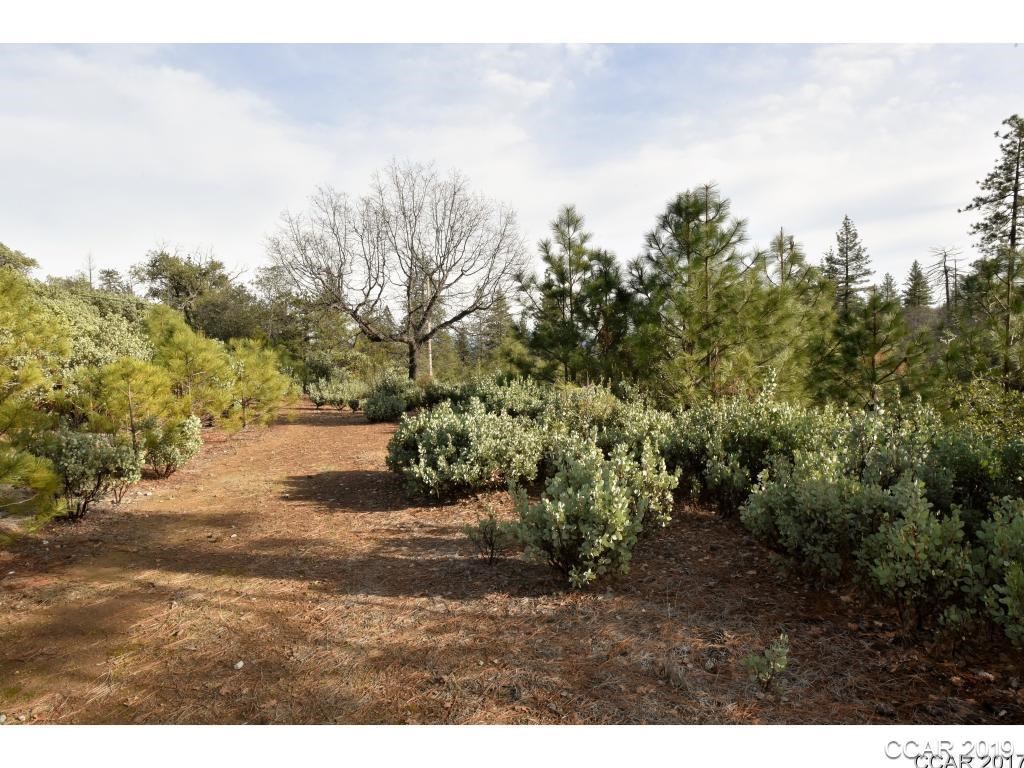 1706 French Gulch Road Murphys, CA 95247 - Photo 1 of 1