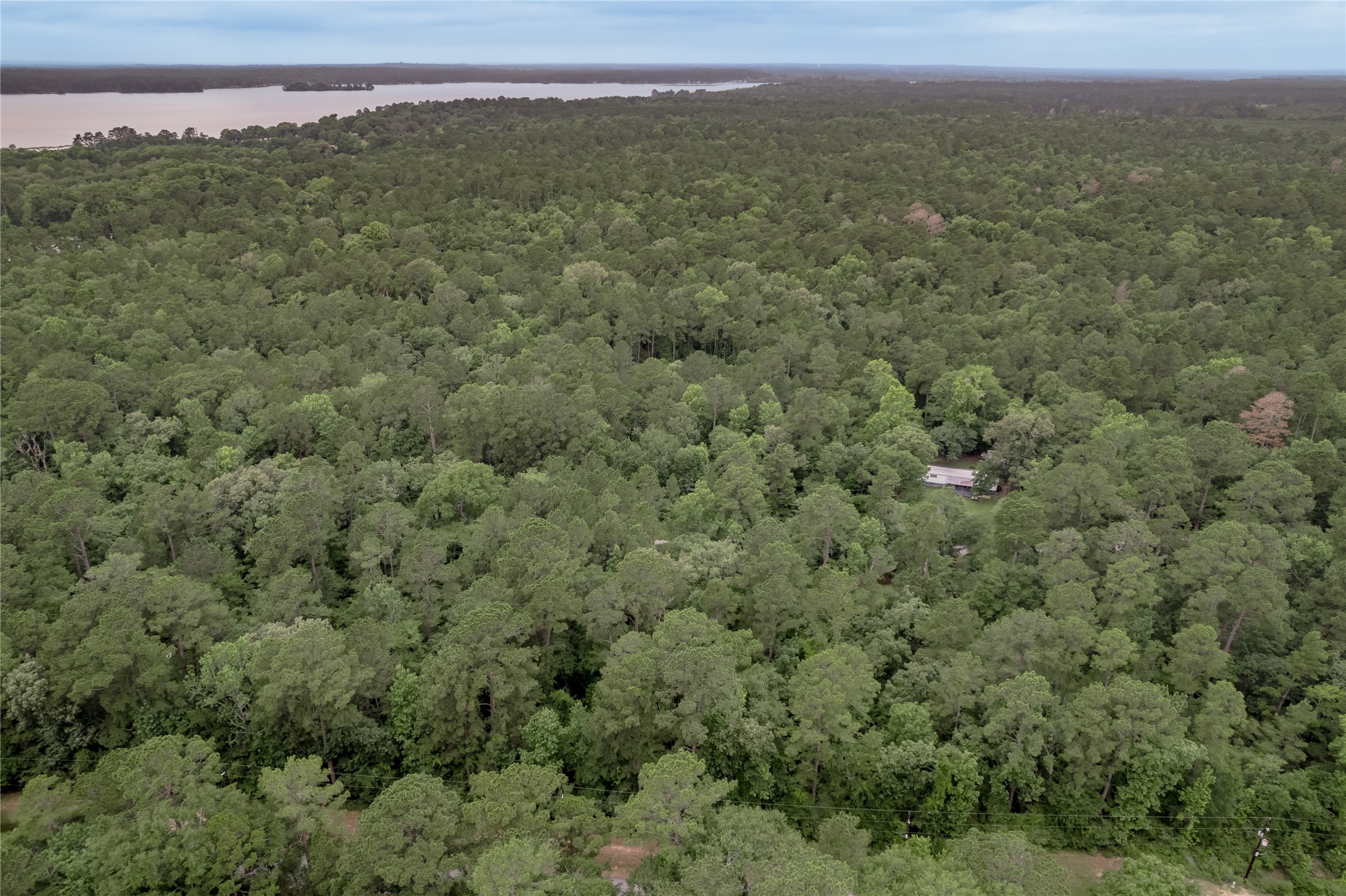 Lot 07 Oak Drive Trinity, TX 75862 - Photo 19 of 36