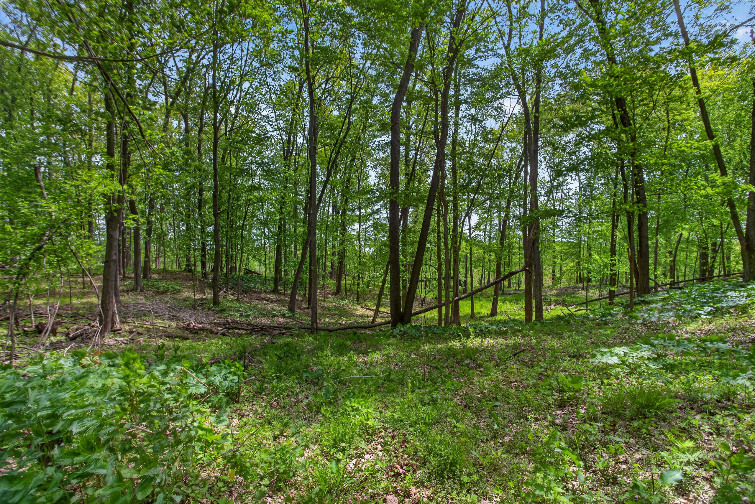 4681 Folks Road Horton, MI 49246 - Photo 60 of 69 IMG_9496