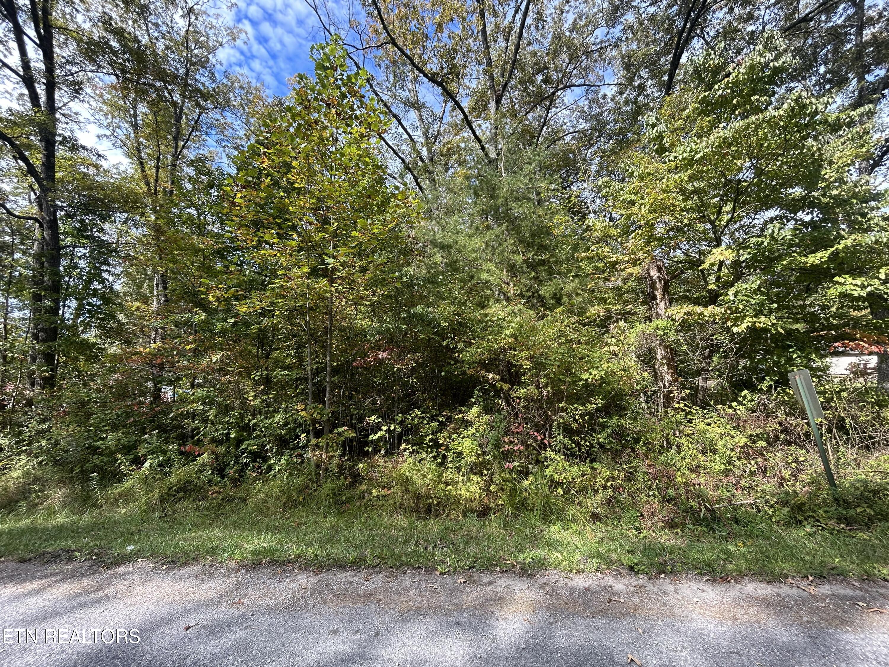 0.4 Acres on Hickory Drive