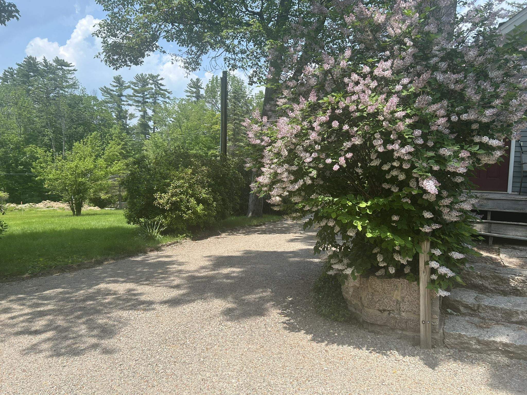 28 Washington Avenue Bartlett, NH 03845 - Photo 51 of 52