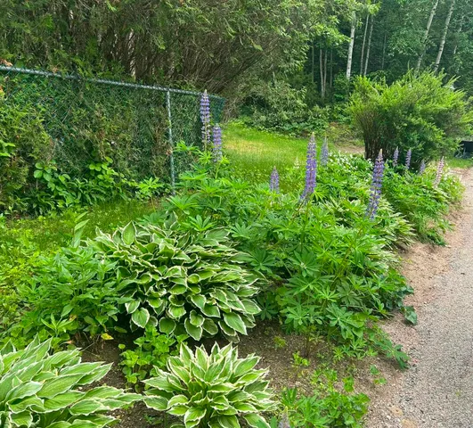 $795,000 | 28 Washington Avenue, Bartlett, NH 03845