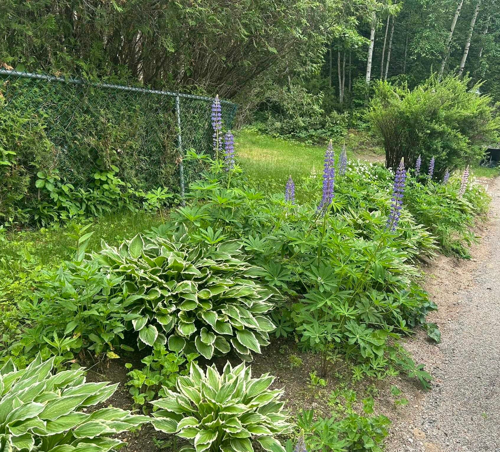 28 Washington Avenue Bartlett, NH 03845 - Photo 52 of 52